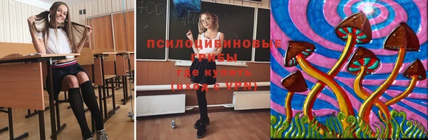 герыч Михайловск