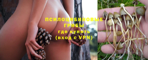 соль ск Алексеевка